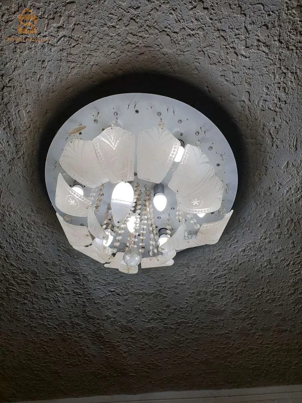 lustre lel bi3 jdid f el cartouna