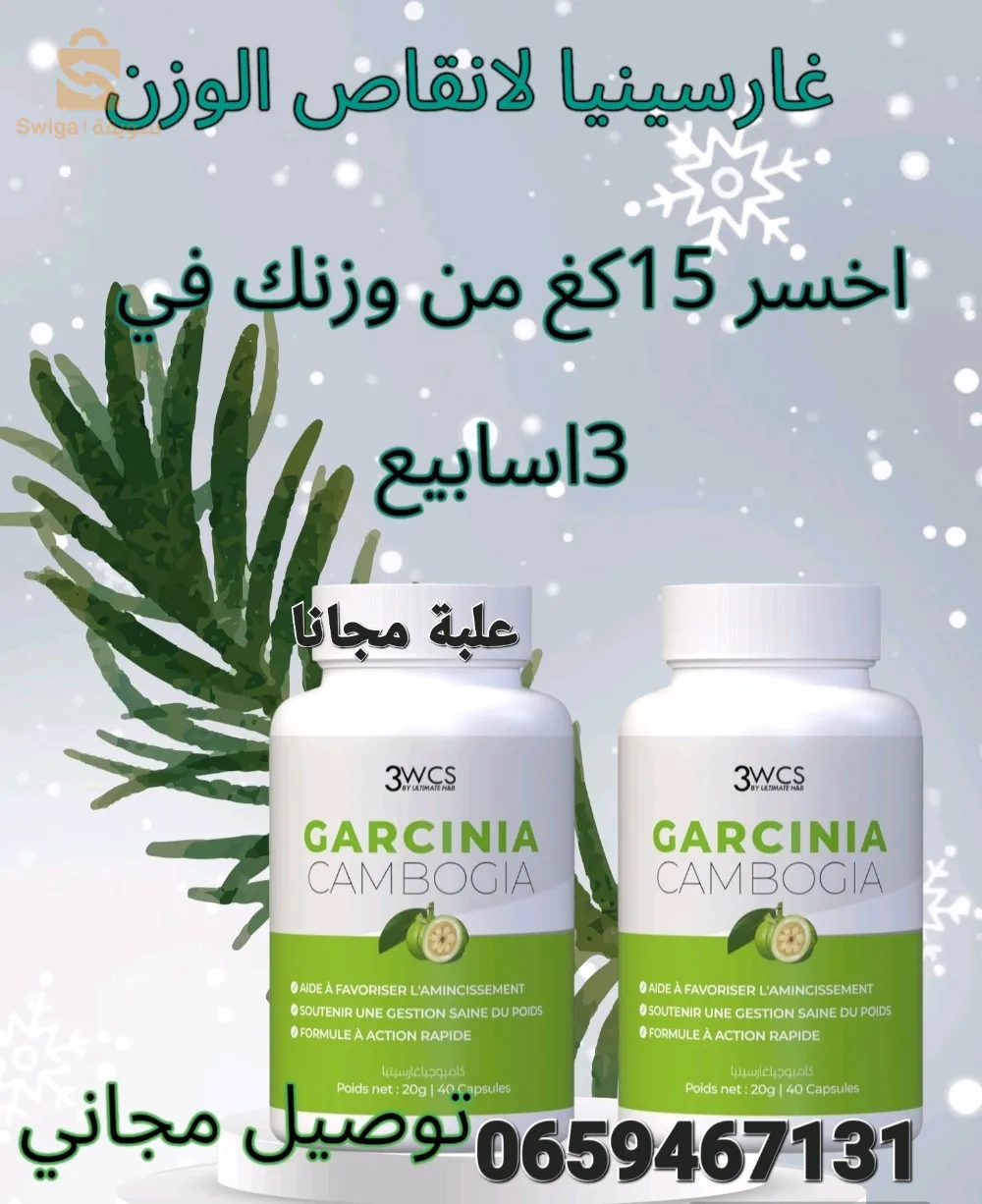 غارسينيا كمبوجيا