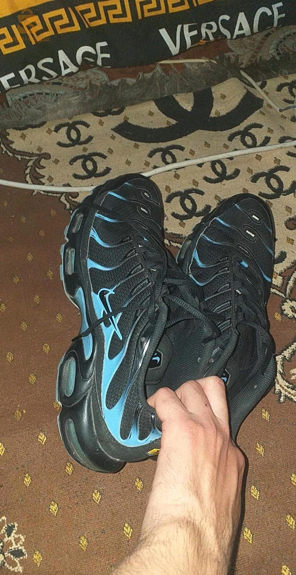 tn