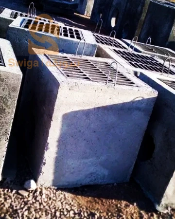 راس لعيون باتنة