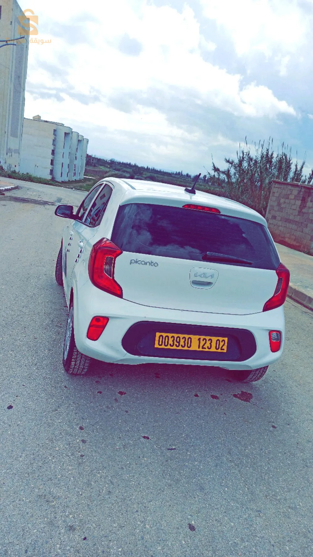 picanto star plus 2023