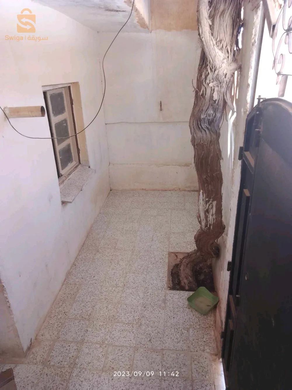 منزل (حوش) بالجلفة حي بلغزال بجوار المقبرة الخضراء