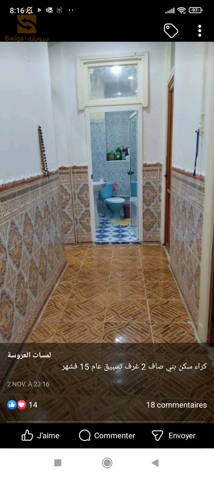 طلاء المنازل