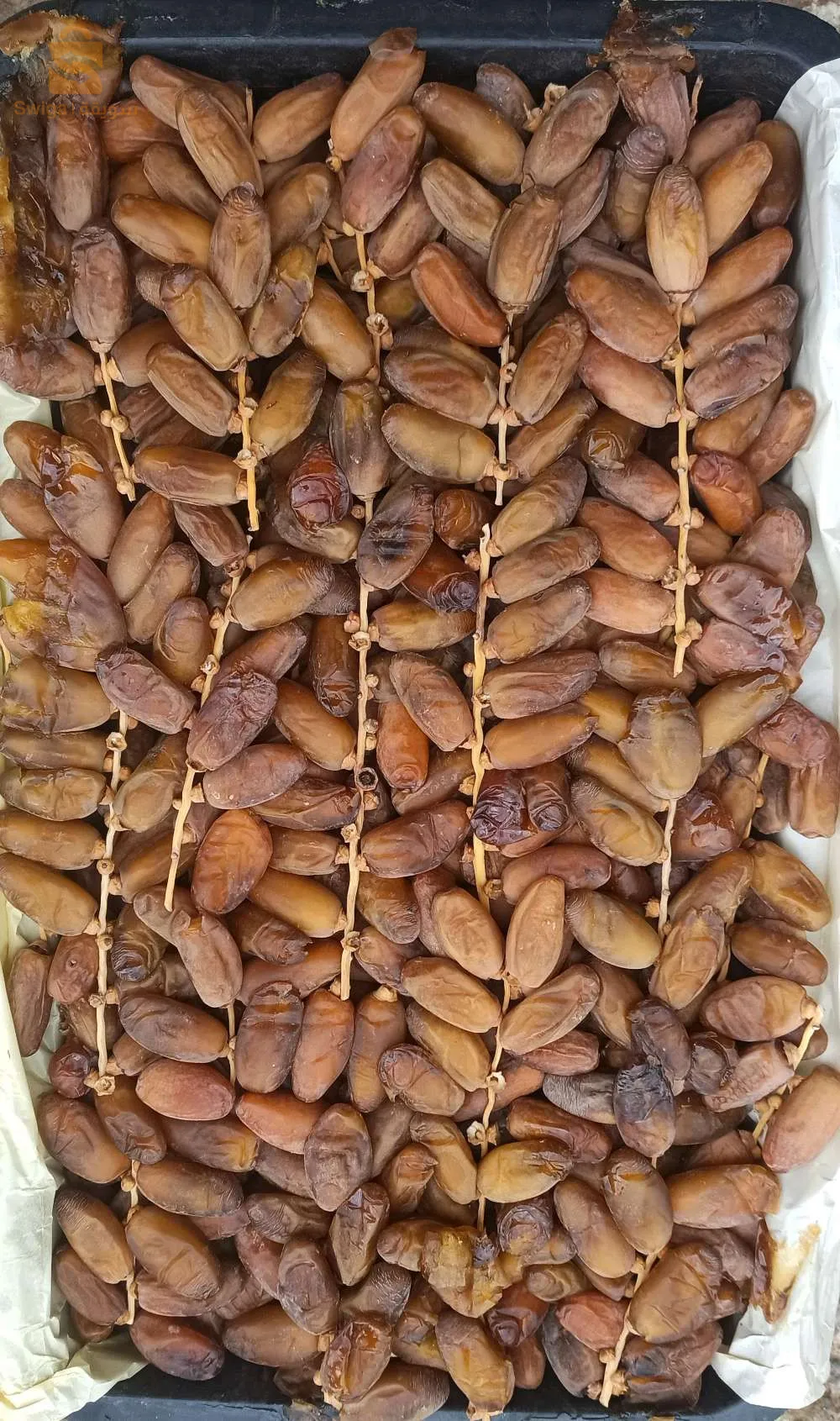 ماوسة