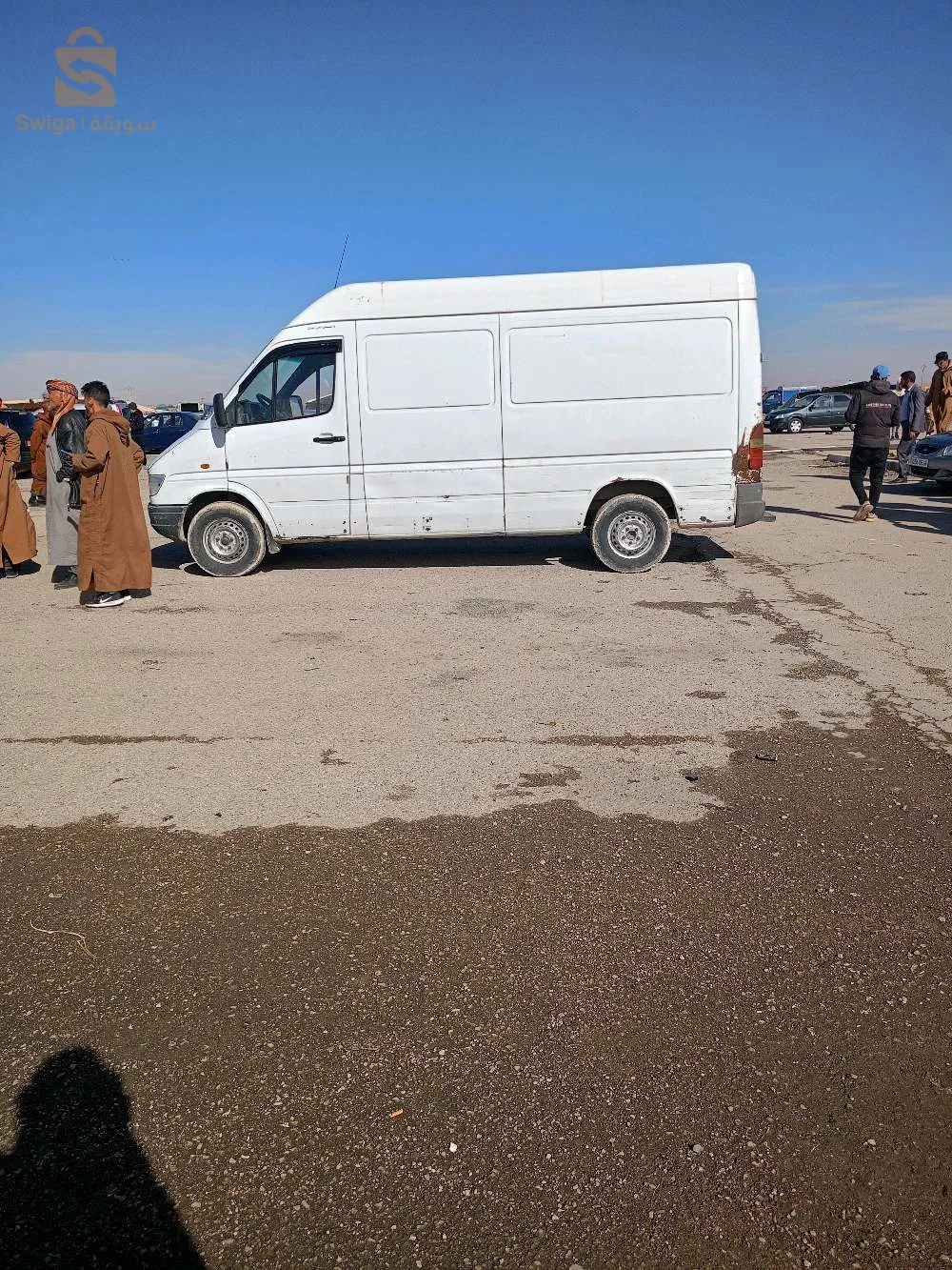 تيارت