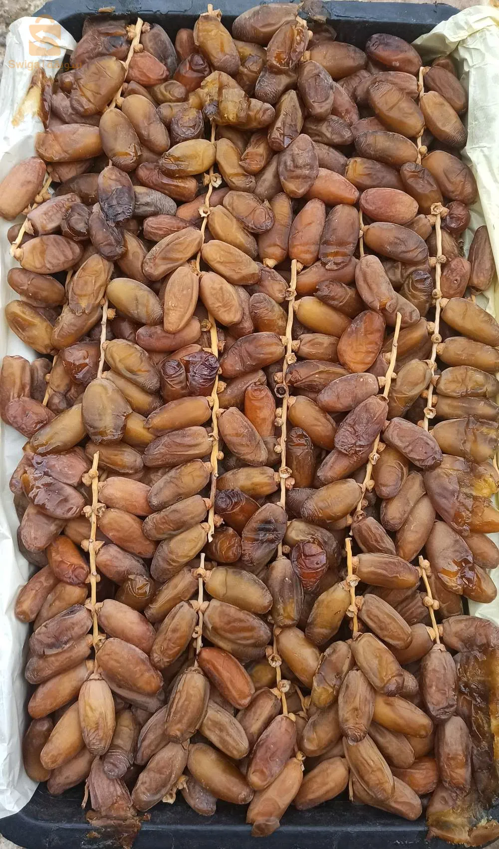 ماوسة