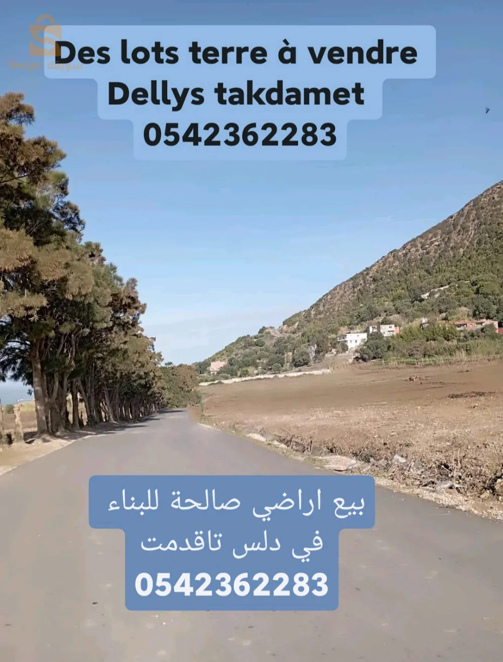 دلس تاقدمت