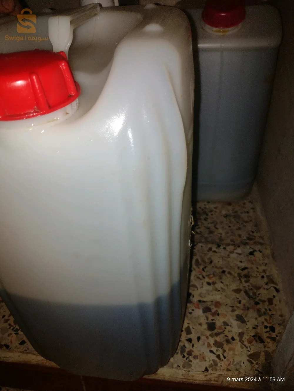 زيت الزيتون