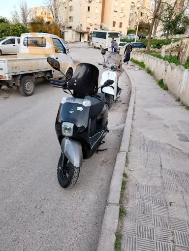 قالمة