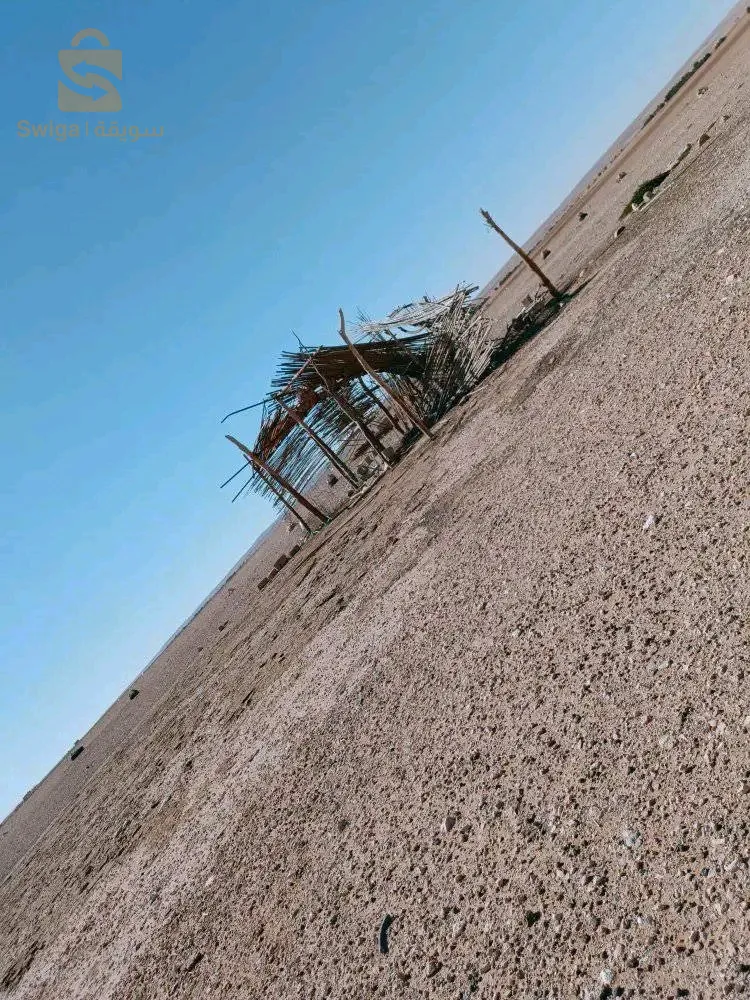 الجلفة .دار الشيوخ. طسطارة