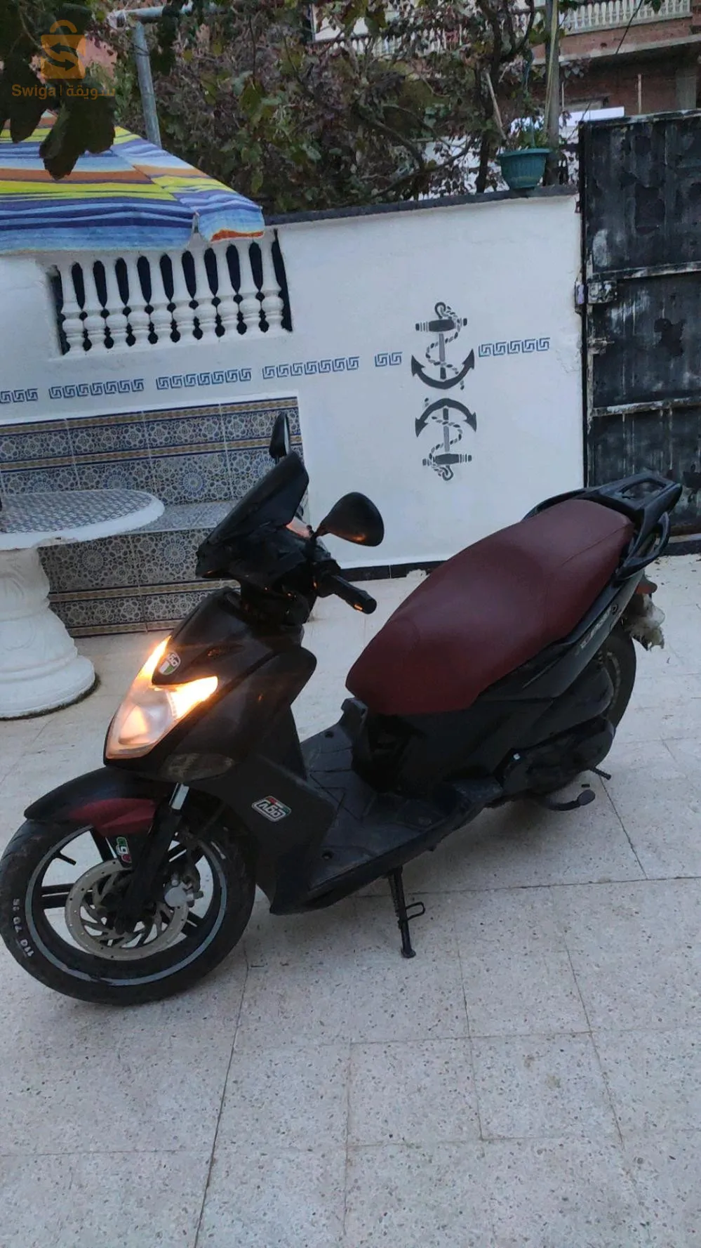 دلس بومرداس