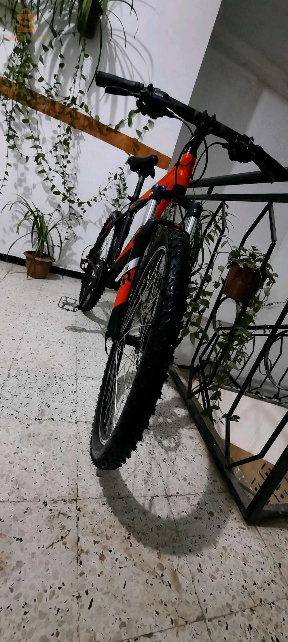 Vélo Rockrider  8.0 RR