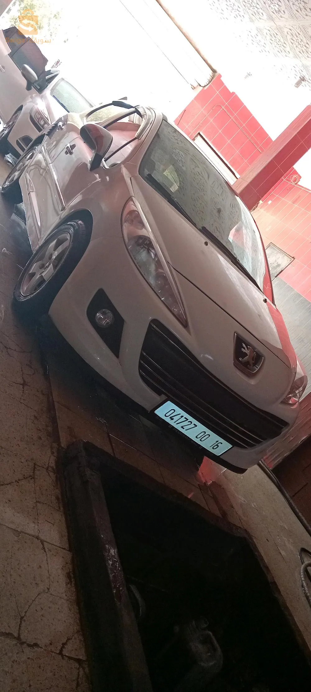 الشلف