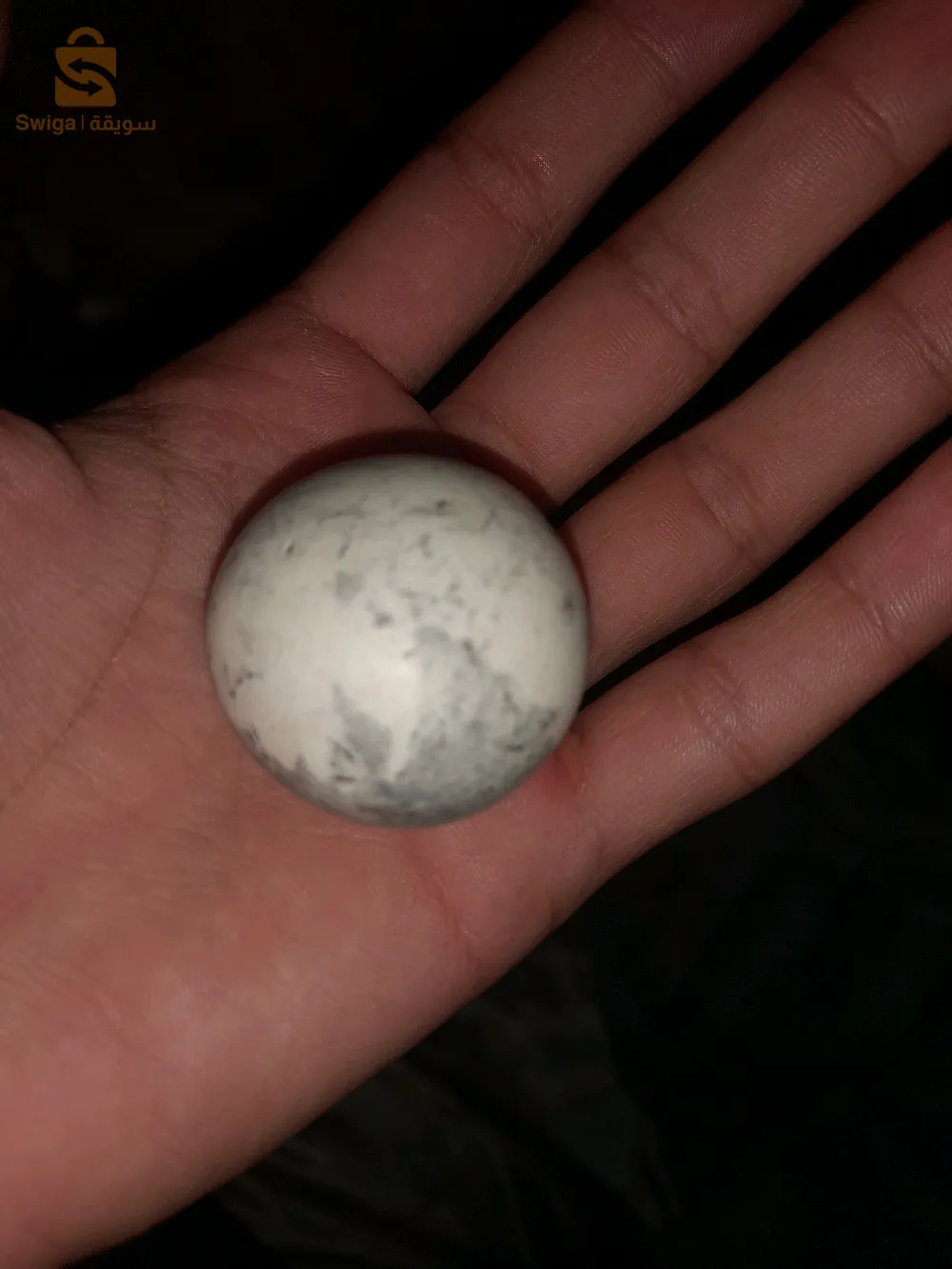 ديامو سوداسي