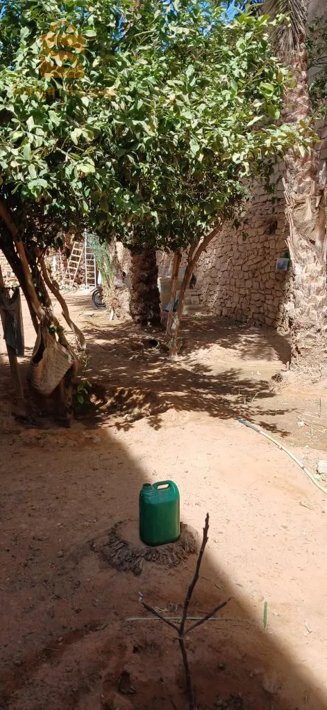 غرداية الحاج مسعود