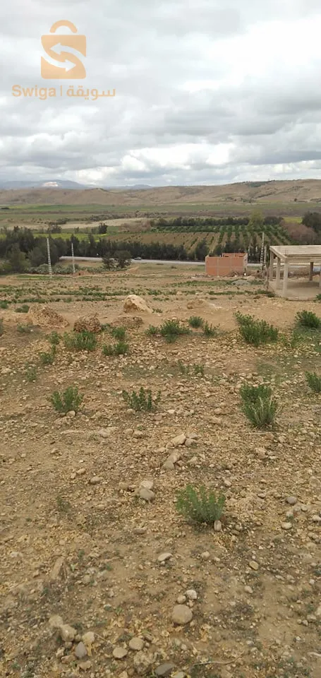 غليزان