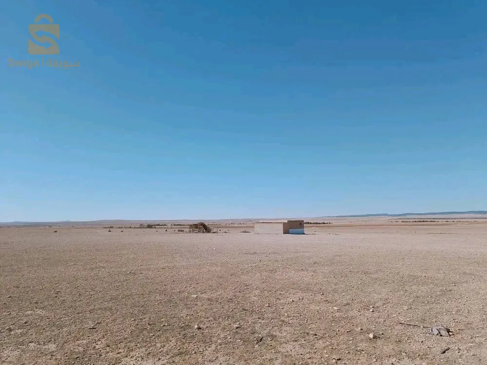 الجلفة .دار الشيوخ. طسطارة