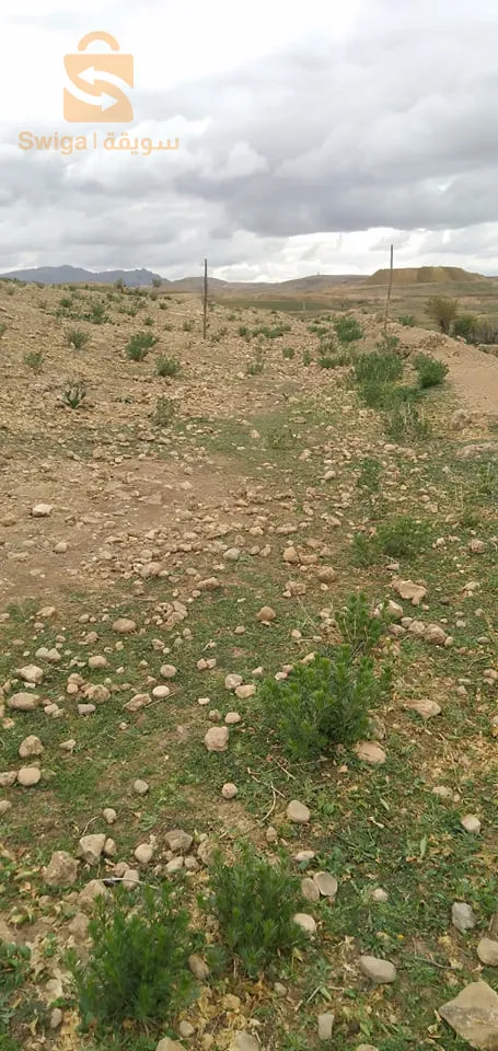 غليزان