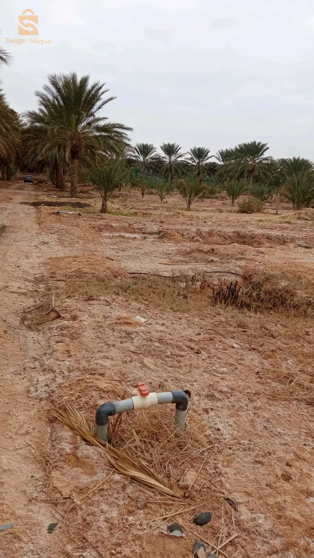 استثمار ممتاز