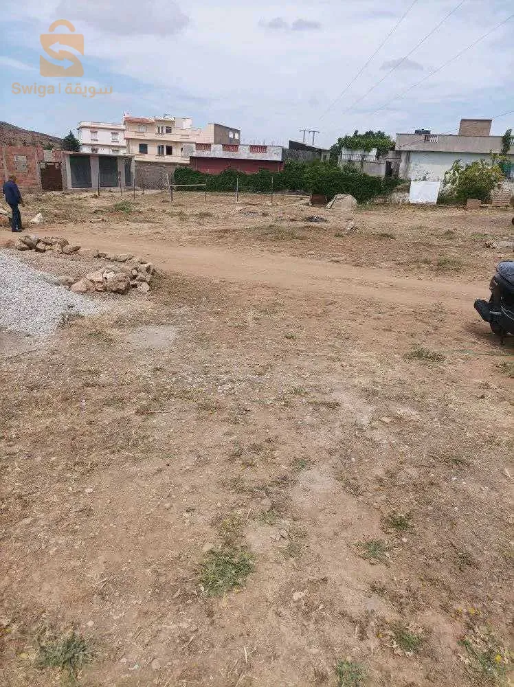 تلمسان مفروش