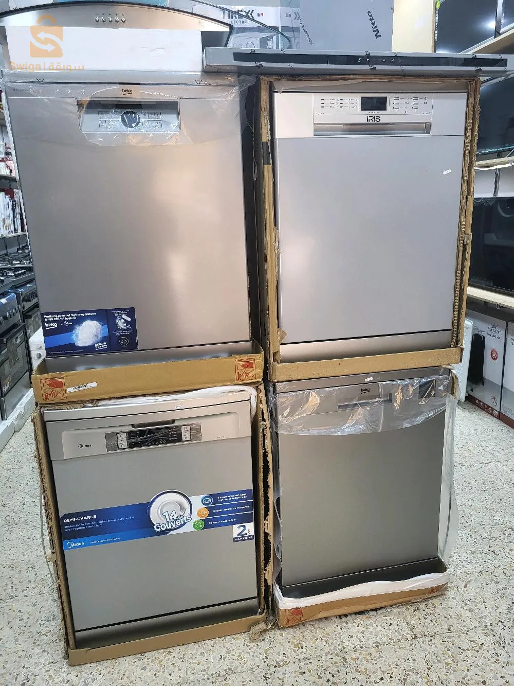 بمدينة مغنية