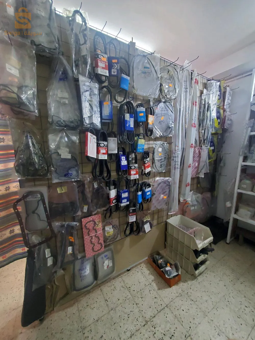 الجزائر الحمامات