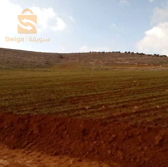 Location de terrain agricole