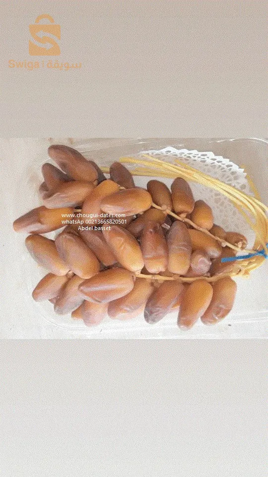 تصدير تمور دقلة نور  export dates deglet noor