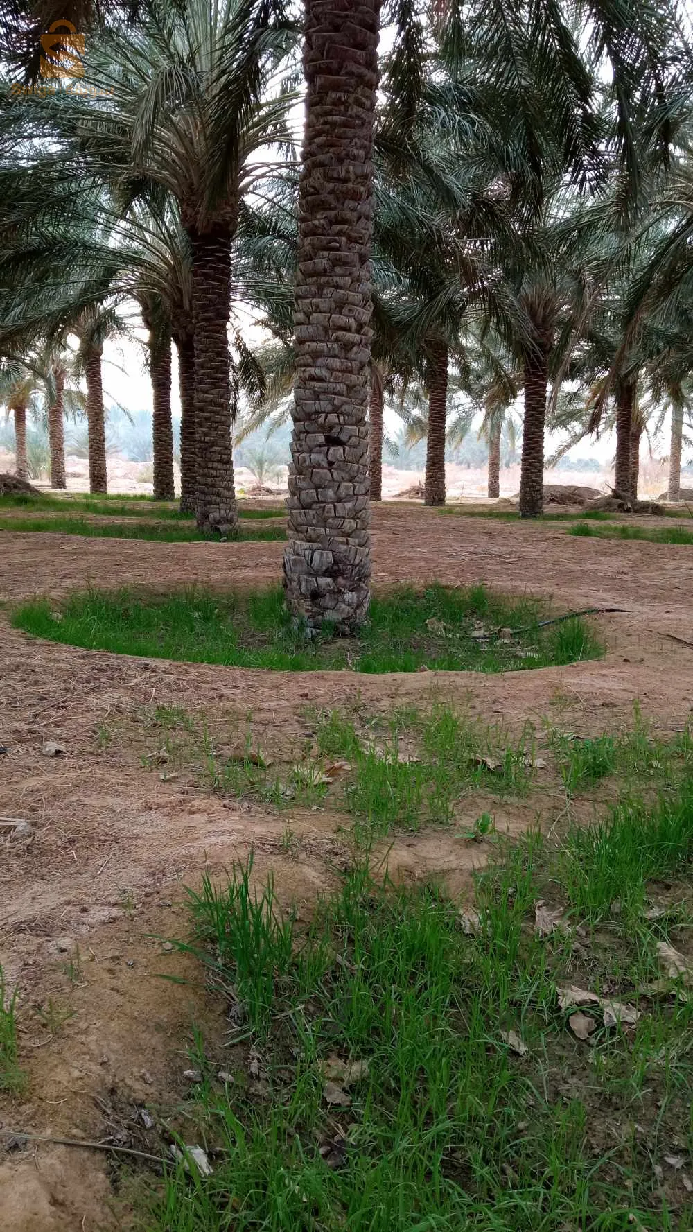 استثمار ممتاز