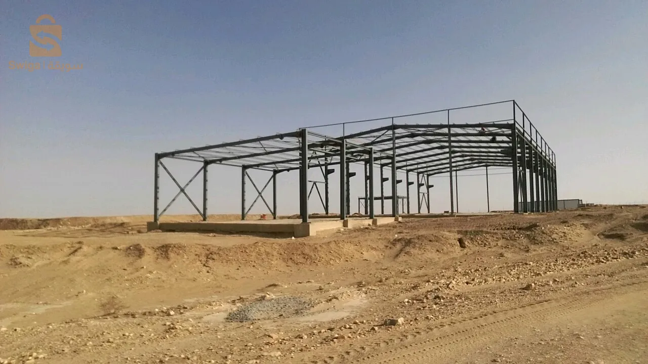 عين الدفلى