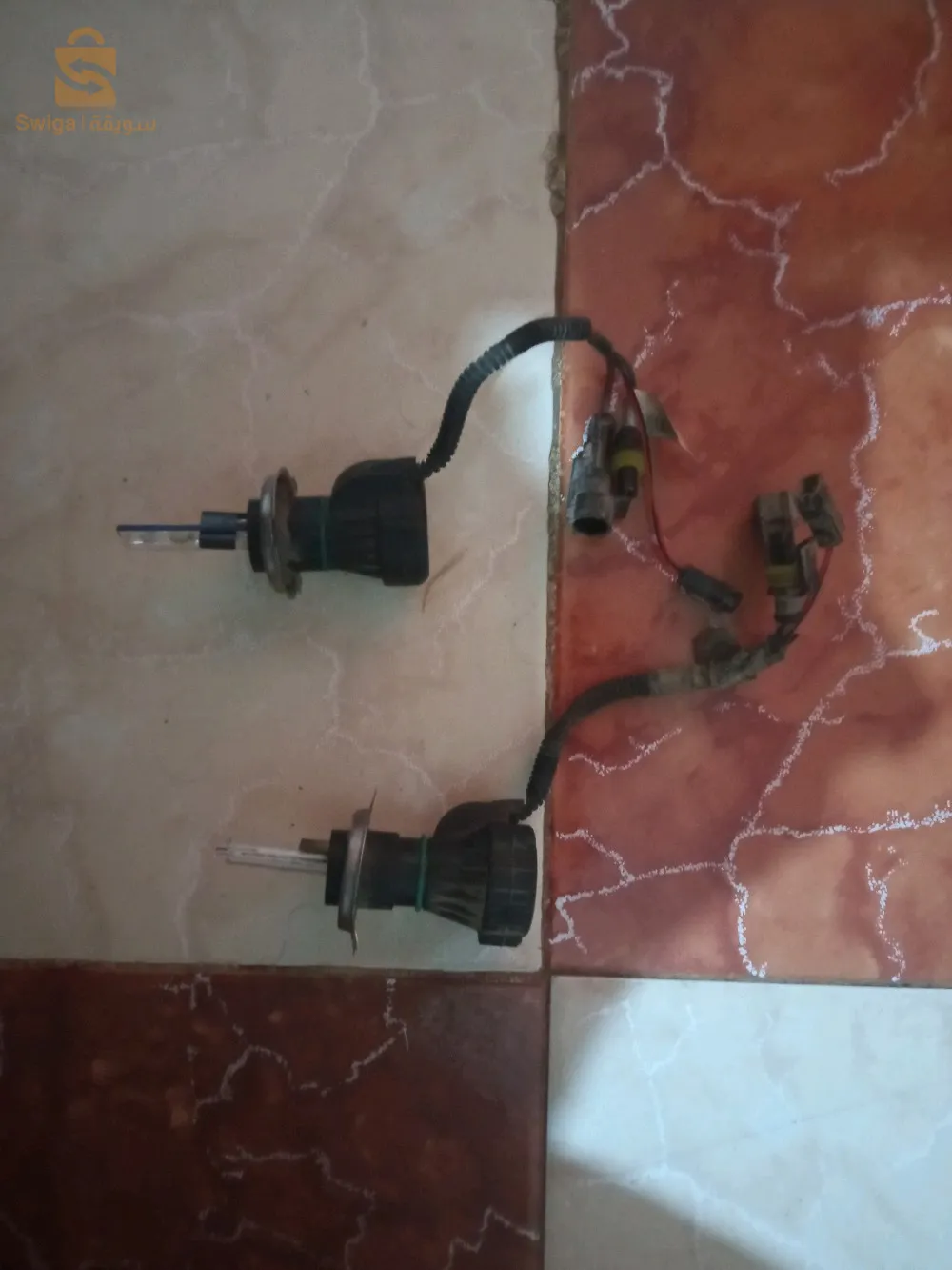 أضواء قزينو