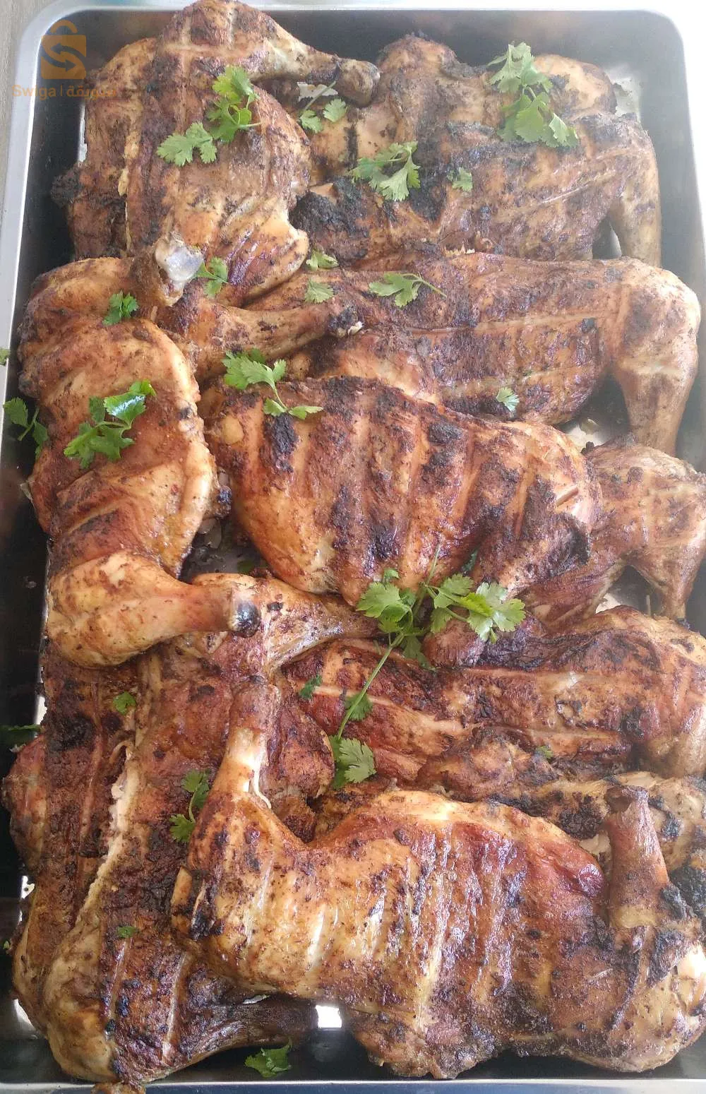 دجاج على الجمر