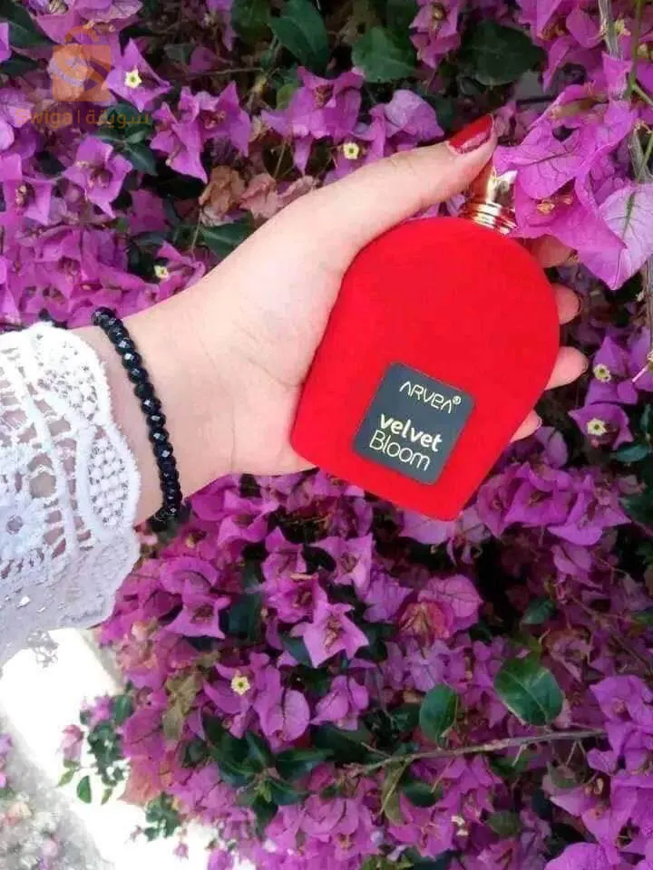 📢 تخفيضات عيد المرأة 😍 💝عطر فخم 😌🥰 واش راكي تسناي
التوصيل محاني 🎁🎀🔥🔥