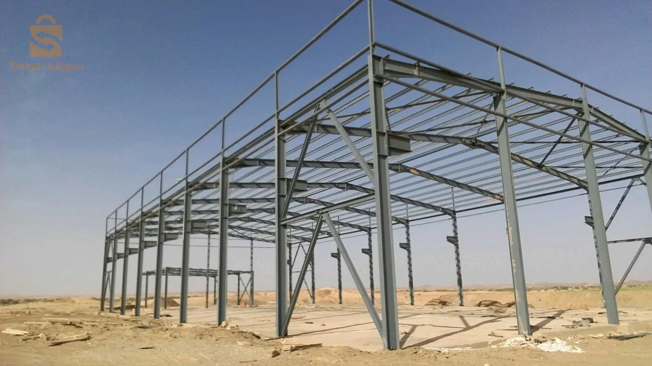 عين الدفلى