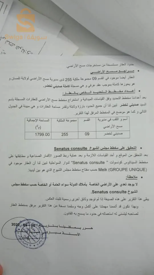 الغزوات  تونان تلمسان