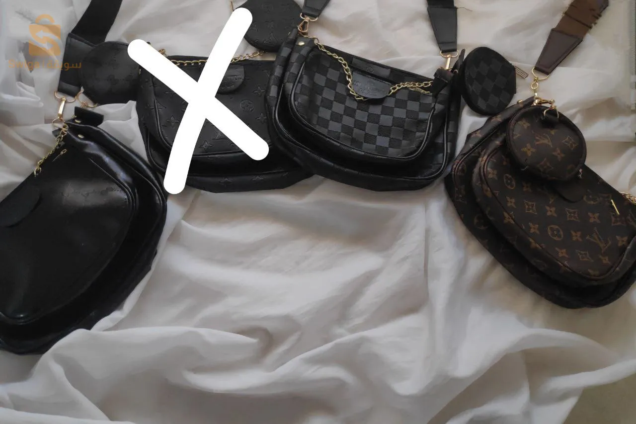 sac louis Vuitton et Gucci