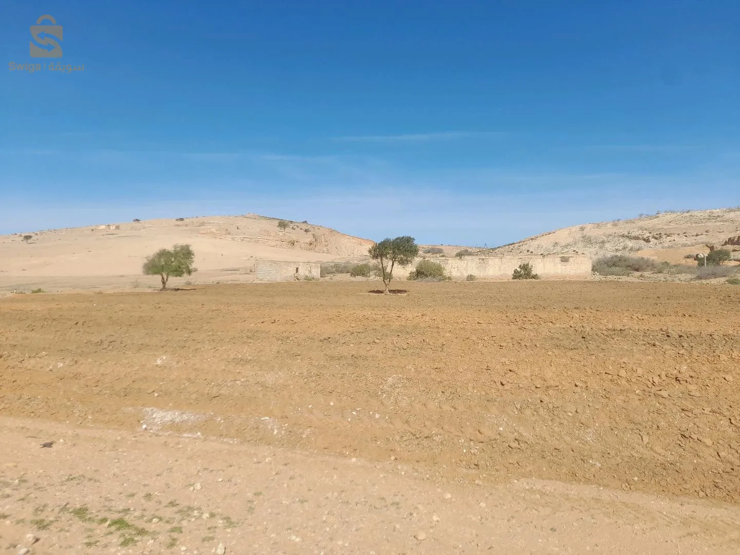العقارات