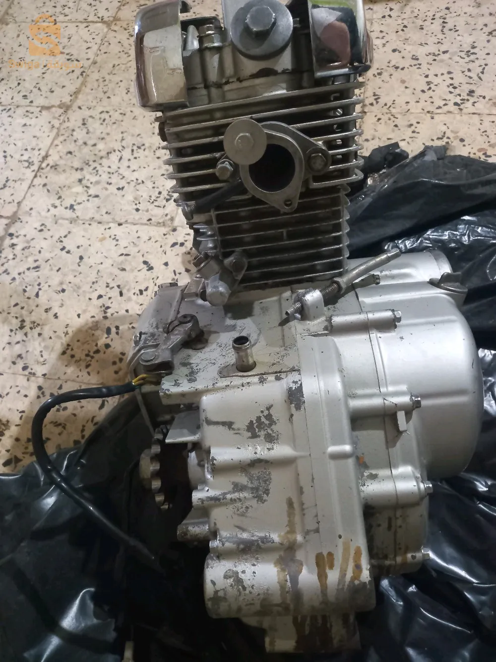 وهران بئر الجير ميلينيوم بالقرب من الملعب هدفي ميلود