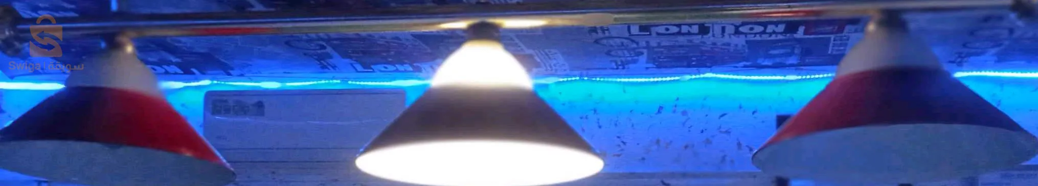 بلدية الدهوارة ولاية قالمة