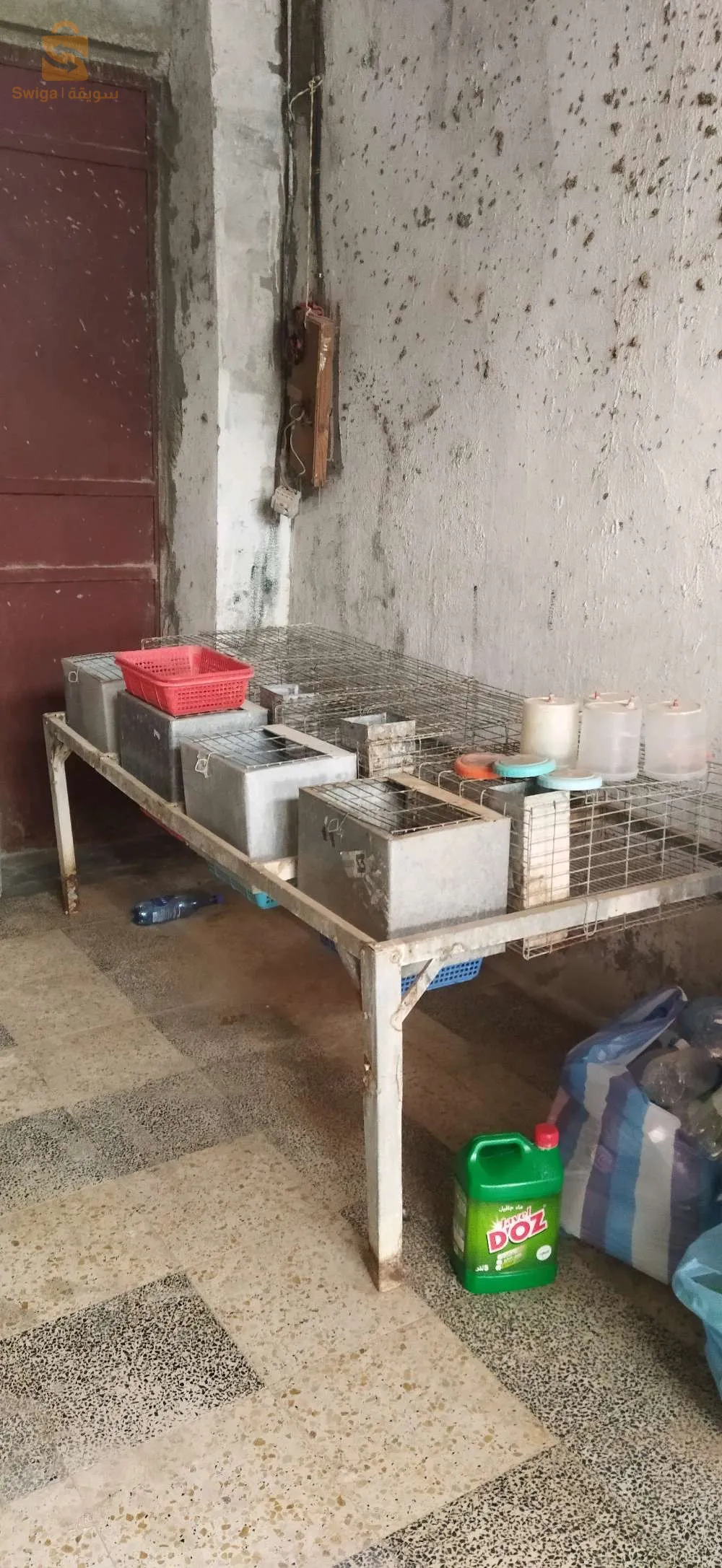 cage pour lapin
