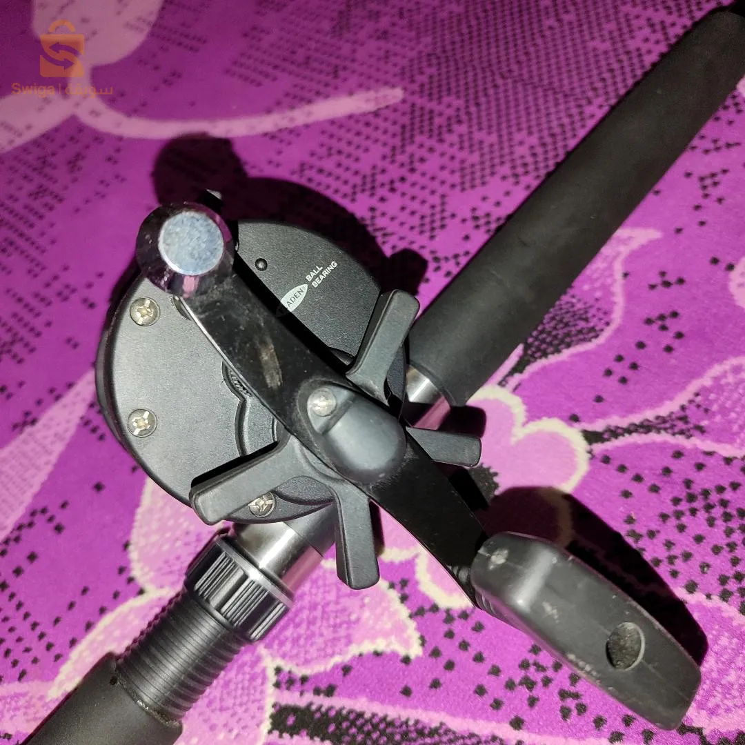 عين تادلس مستغانم