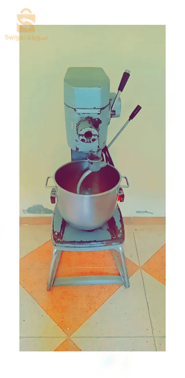 عين وسارة ولاية جلفة