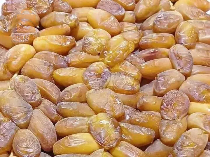 تمر