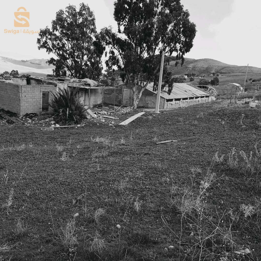 مزرعة فلاحية 20هكتار