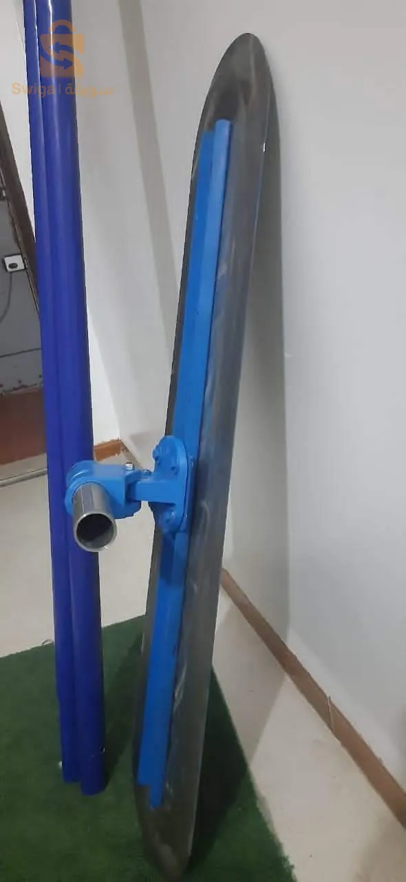 البليدة