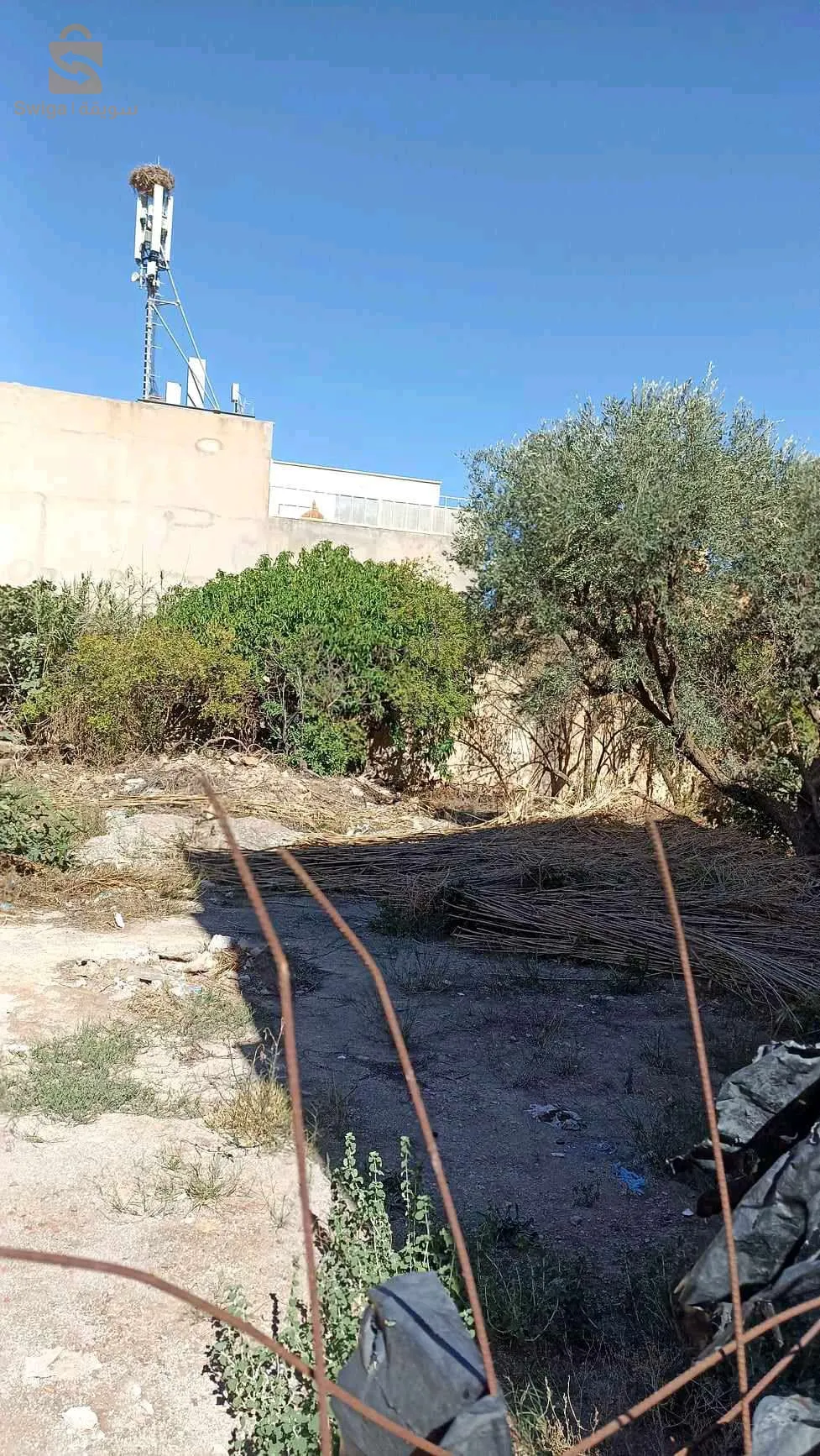 ارض للبيع ببلدية الحناية ولاية تلمسان موقع ممتاز