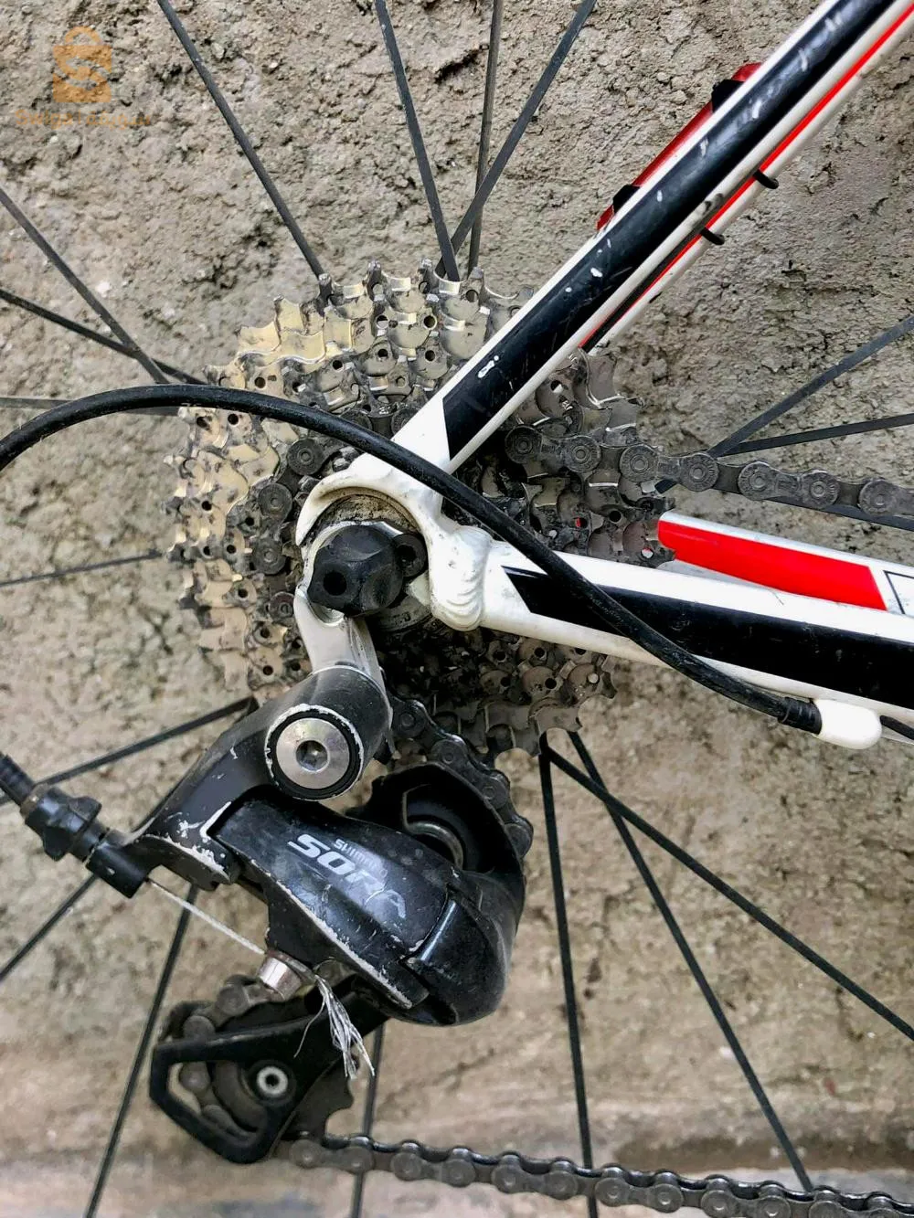 vilo corse
plato 53 34