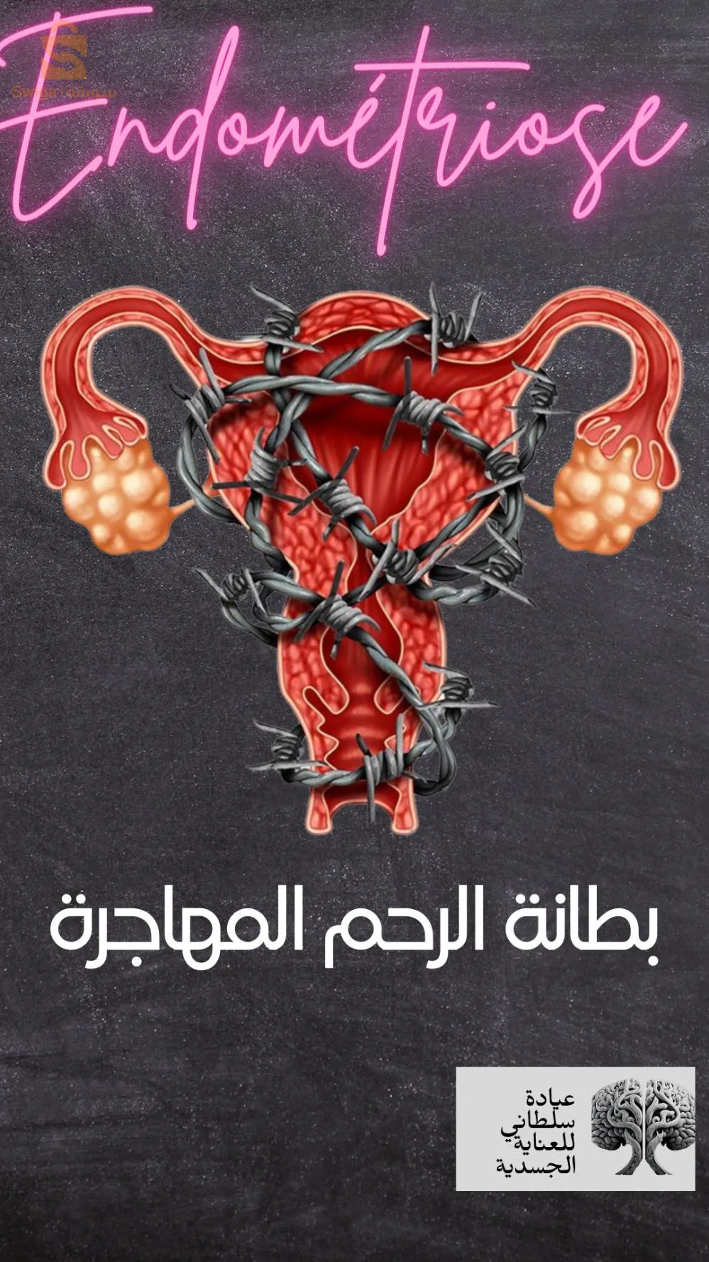 عبادة د.سلطاني للحجامة و الطب البديل سيدي بلعباس