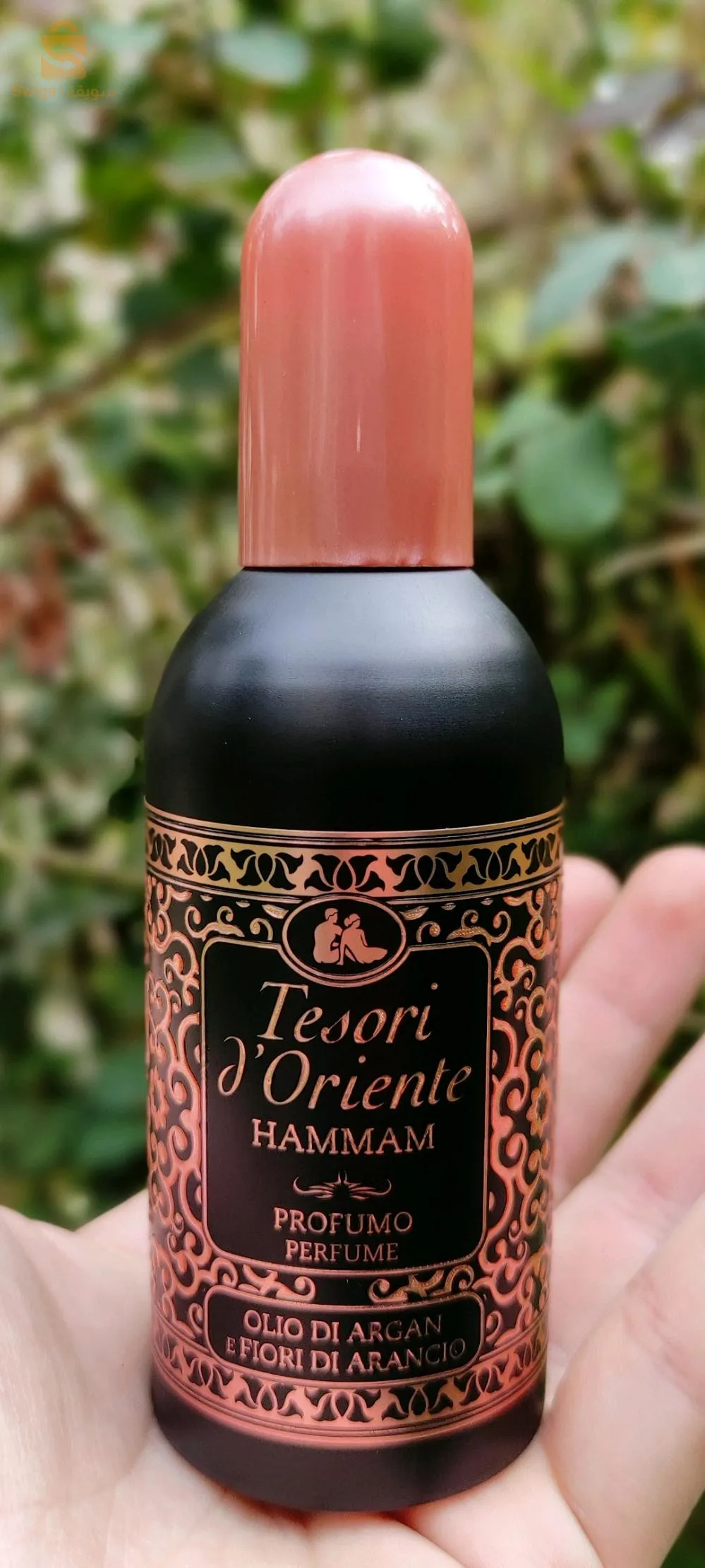عطور تيزوري
