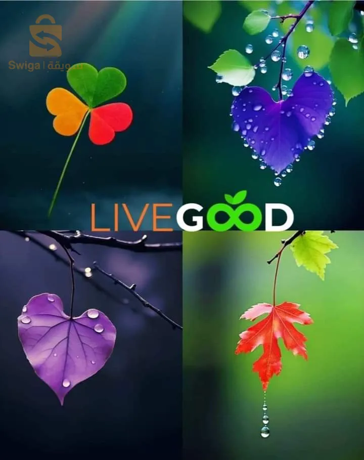 منتجات طبيعيه عاليه الجوده